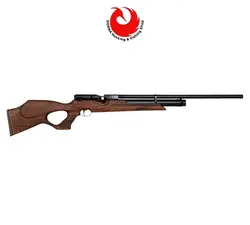 تفنگ pcp وایرخ HW100 T FSB