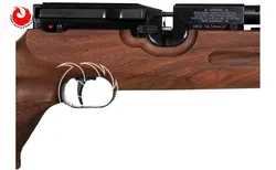 تفنگ pcp وایرخ HW100 T FSB