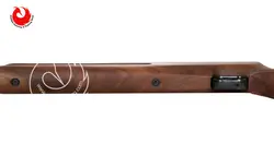 تفنگ pcp وایرخ HW100 T FSB