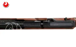 تفنگ pcp وایرخ HW100 T FSB