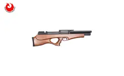 تفنگ پی سی پی آرتمیس p10