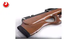 تفنگ پی سی پی آرتمیس p10