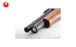 تفنگ پی سی پی آرتمیس p10