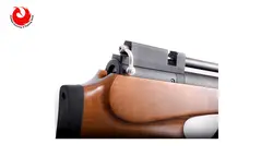 تفنگ پی سی پی آرتمیس p10