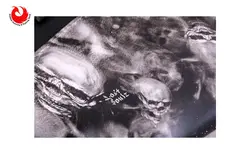 تفنگ بادی pcp کرال پانچر بریکر اسکلتی