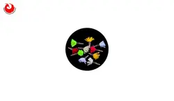 ساچمه تیر مویی کالیبر 4.5