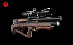 تفنگ pcp کالیبرگان کریکت wst