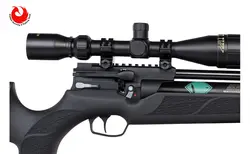تفنگ pcp وایرخ HW110 STK