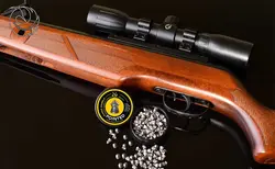 قیمت و خرید ساچمه AST سرتیز 5.5 - فروشگاه درنا کمپینگ