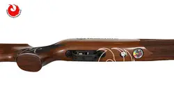 تفنگ بادی pcp دی استیت Huntsman Regal