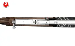تفنگ بادی PCP دی استیت ساکسون