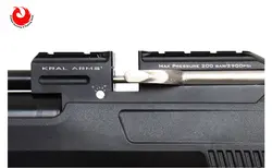 تفنگ بادی PCP کرال NP-01