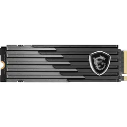 اس اس دی ام اس ای SSD MSI Spatium M480 Play _ 1TB | دراگون شاپ
