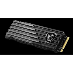 اس اس دی ام اس ای SSD MSI Spatium M480 Play _ 1TB | دراگون شاپ