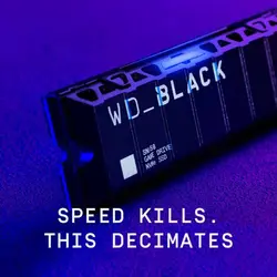 حافظه اس اس دی WD BLACK SN850 دارای هیت سینک مخصوص PS5 یک ترابایت | دراگون شاپ