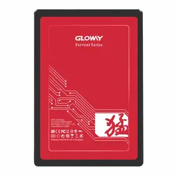 هارد اس اس دی گلووی SSD GLOWAY Fervent Series 120GB Sata III