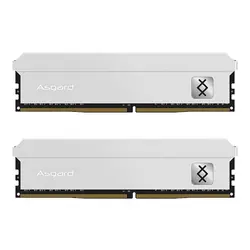 رم ازگارد RAM Asgard Freyr T3 Dual 16GB 8GBx2 4800MHz CL40 DDR5 | دراگون شاپ