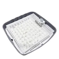 دستگاه جوجه کشی 72 تایی آژاکس ajax | دستگاه جوجه کشی با ظرفیت 72 عددی ajax