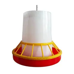 دانخوری مرغ