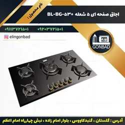 اجاق گاز صفحه ای بیشل مدل BL-BG-530