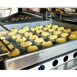 تنورگازی متوسط بازاری الین گنبد رنگی دو سینیSB3