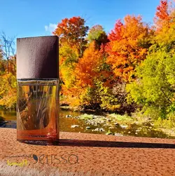 عطر ایسی میاکه لئو د ایسی پور هوم وود اند وود Issey Miyake L’Eau d’Issey pour Homme Wood & Wood