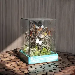 تراریوم پروانه کوچک سایز1