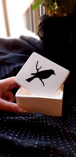 جعبه جواهرات پرستو