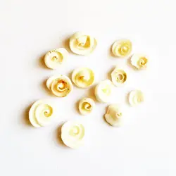 صدف طبیعی پیچی بسته 40 عددی shell 3001 - فروشگاه اینترنتی ایـــشومر