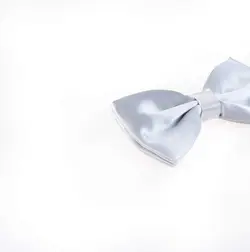 پاپیون ساده مردانه ساتن رنگ نقره ای BT1065