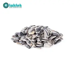 خرید تخمه آفتابگردان دور سفید خام