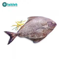 ماهی حلوا سیاه