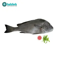ماهی خنو