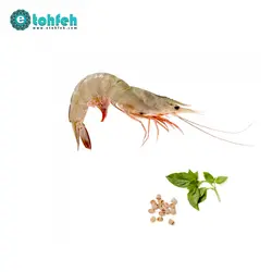 میگو ریز (حدود ۶۰ عدد در هر کیلوگرم)