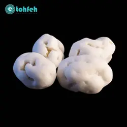 خرید نقل پسته ای زنجبیلی