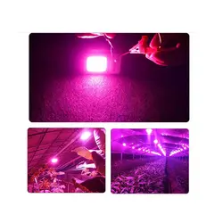 LED COB مخصوص رشد گیاه 220V 10W با درایور