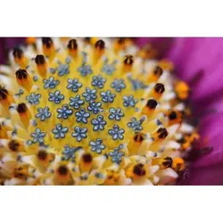 اکستنشن تیوب فوکوس اتوماتیک میک برای نیکون Meike Auto Focus Macro Extension Tube