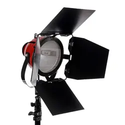 نور تنگستن کاسه فلات 800 وات