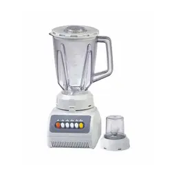 آسیاب مخلوط کن دوکاره DS-666 350W - دسینی