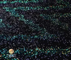 پولک جادویی - فروشگاه پارچه فراهم ساز