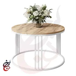 میز جلو مبلی طرح فادیا مدل Ct-1025 - سنجد چوب