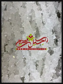 شاخه نبات سفید