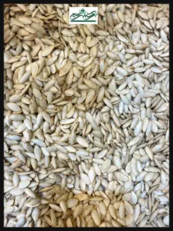 کدو مشهدی زبان ماری