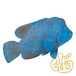 فیگور ماهی گروپر آبی موجو Blue Groper 387356