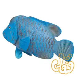فیگور ماهی گروپر آبی موجو Blue Groper 387356