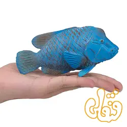 فیگور ماهی گروپر آبی موجو Blue Groper 387356