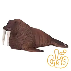 فیگور گراز دریایی موجو Walrus 387209