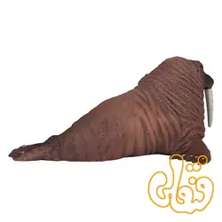 فیگور گراز دریایی موجو Walrus 387209