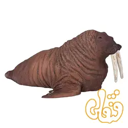 فیگور گراز دریایی موجو Walrus 387209