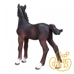 کره اسب هانوفر Hanoverian Foal Baby 381018